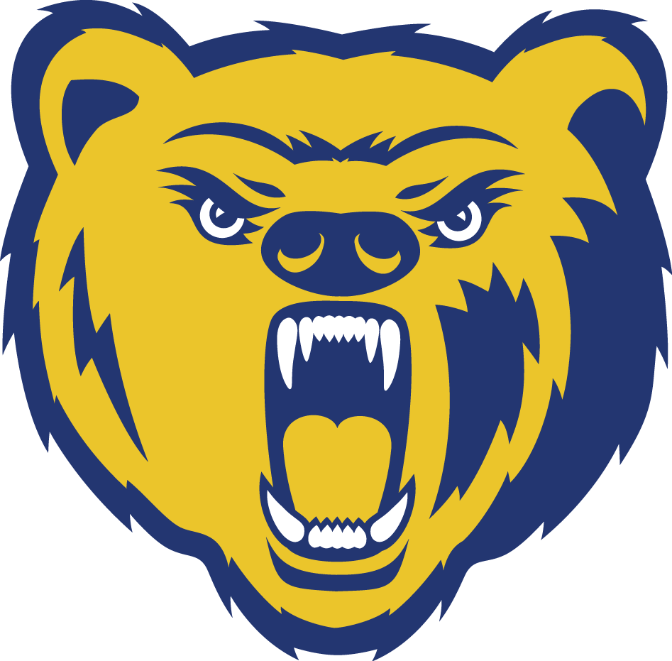 Northern Colorado Bears 2004-2009 Secondary Logo t shirts iron on transfers